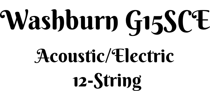 Washburn G15SCE       Acoustic/Electric                  12-String